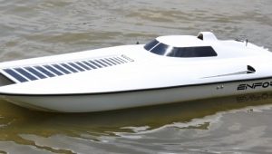 Enforcer Split-N-Image Cat